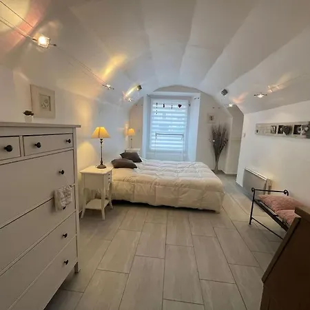 Le Tonneliers - Bel Au Centre Apartment Mülhausen