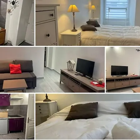 Le Tonneliers - Bel Au Centre Apartment Mülhausen